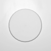 Utsua Arita Plate - White (L)
